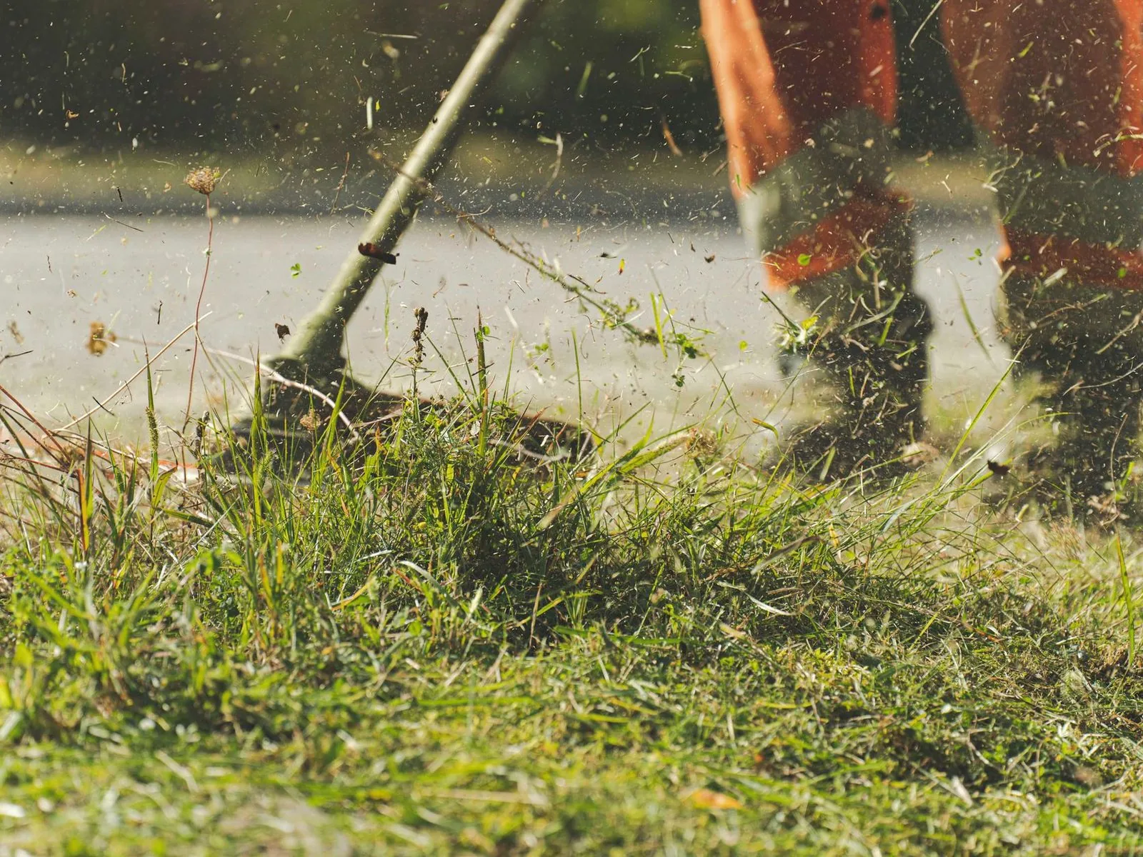 Lawn mown as part of yard management